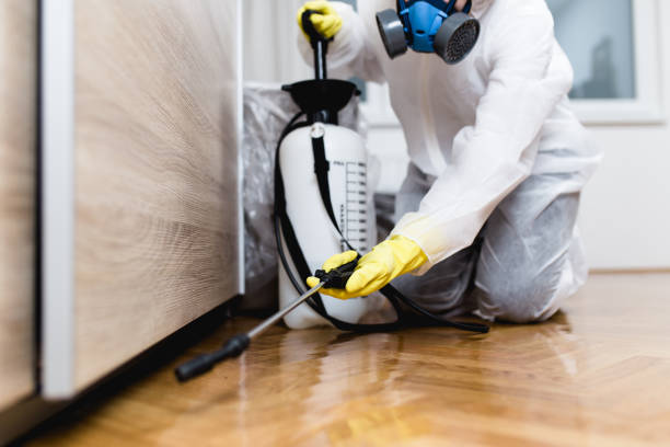 Best Mosquito Control Services  in East Moriches, NY