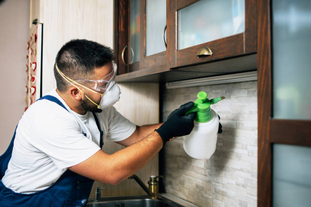 Pest Prevention Services in East Moriches, NY