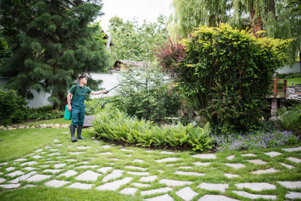 Wildlife Control Services in East Moriches, NY